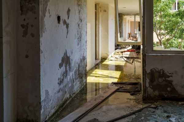 Water Removal Service in Shawnee