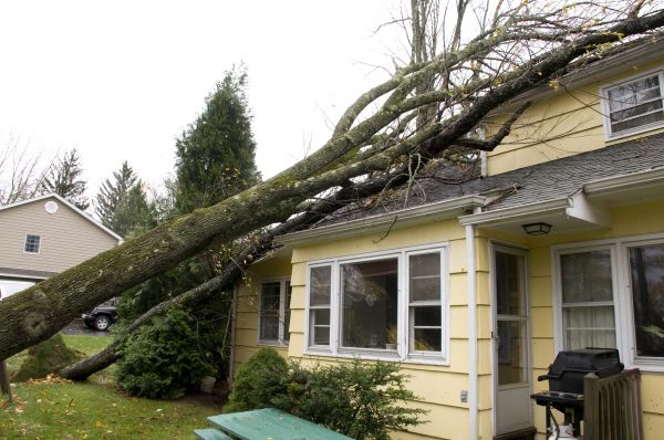 Storm Damage Mitigation in Shawnee