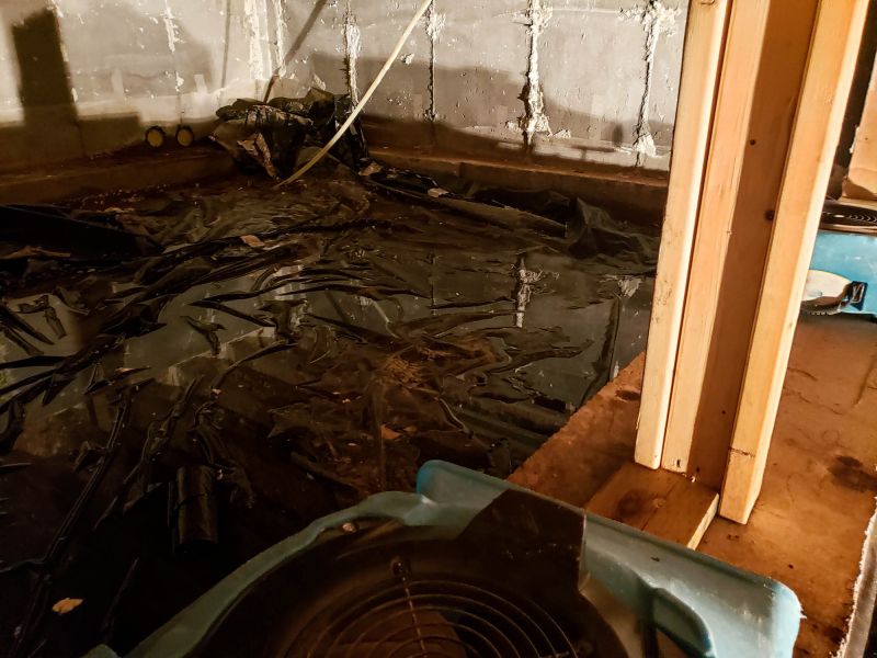 Crawlspace Water Cleanup
